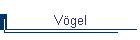 Vögel